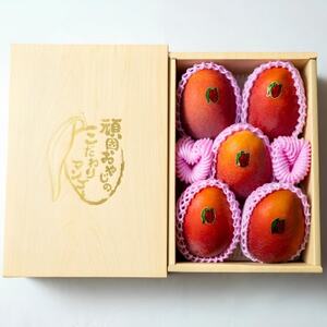 【2026年発送・糖度15度以上保証】頑固おやじのこだわりマンゴー匠 大玉2kg(4～5玉)【配送不可地域：離島】【1675677】