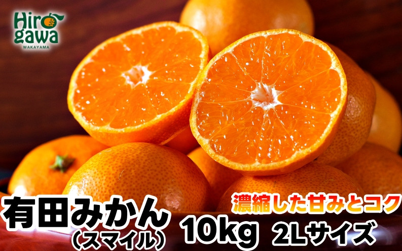 
            有田 みかん 10kg 秀品 2Lサイズ / 温州みかん 有田みかん 甘い 和歌山 柑橘 ※11月下旬～1月中旬に順次発送【sml004-r-10-2lB】
          