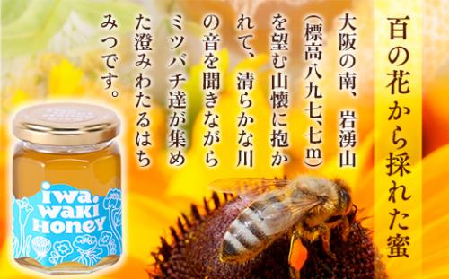 岩湧ハニー 百花蜜 純粋はちみつ 160g×2本セット｜大阪・河内長野産 無添加・非加熱の天然はちみつ｜岩湧山の自然に育まれた希少な国産蜂蜜｜健康・美容・ギフトにもおすすめ【2025年6月中旬以降発送