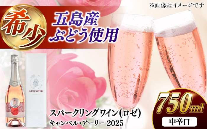 
                  スパークリングワイン キャンベル・アーリー 2025 家飲み 酒 お酒 ワイン 五島市/五島ワイナリー [PAG031]
                