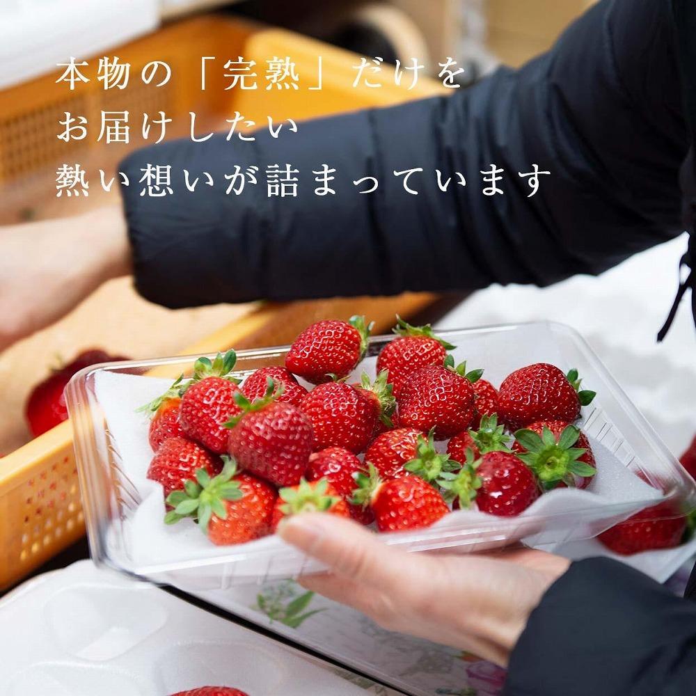 【2025年1月～4月納品分予約販売】★たっぷり1000g！★ミニサイズの「完熟あまおう」セット
