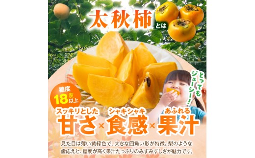 【先行受付】 太秋柿 6kg こねり柿園こだわりの『よのちゃん太秋柿』 KNR0208