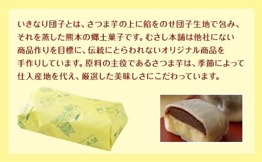 むさし本舗 熊本いきなり団子 こしあん 15個セット さつま芋 サツマイモ 団子 熊本 郷土料理