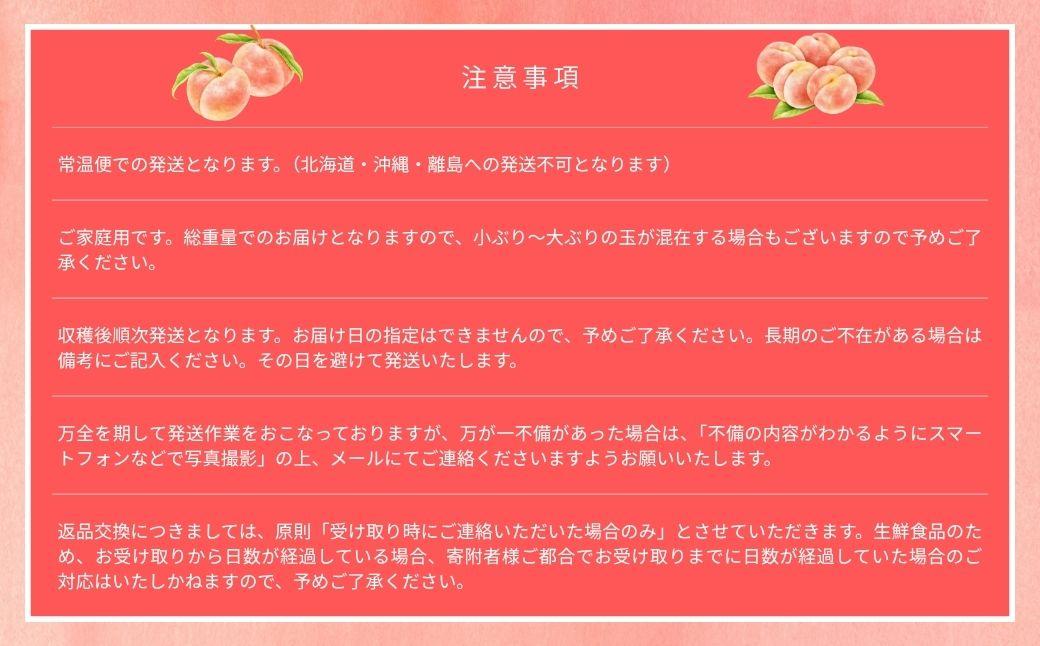 【2026年先行予約】［なんばふぁーむ］岡山県産 黄金桃 2.0kg（5～9玉）［ご家庭用］桃 もも モモ おうごんとう フルーツ 果物 朝採り旬 岡山県産 産地直送 産直 送料無料 鏡野町