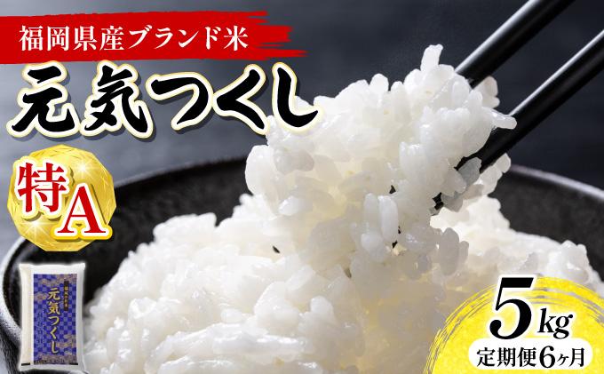 【6ヶ月定期便】福岡県産米 元気つくし 5kg 精米 令和7年産 ※北海道・沖縄・離島は配送不可【精米 7年産 国産 福岡県産 お米 ブランド米 5kg げんきつくし】CY011sub6 【6ヶ月定期