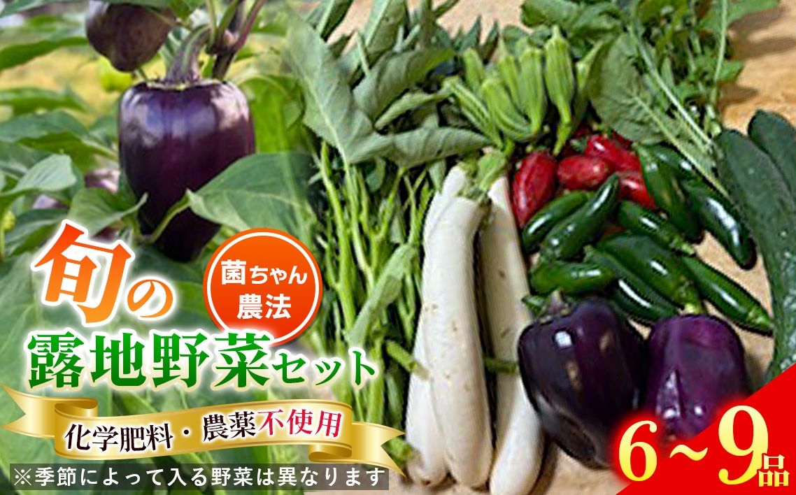 
                  露地野菜 セット 【6～9品】 菌ちゃん農法 旬 化学肥料・農薬不使用 ／ 野菜セット 旬野菜セット 無農薬野菜 野菜詰め合わせ 農薬不使用野菜 露地野菜 国産野菜 産地直送 野菜宅配 季節野菜 料理好き 食材セット オーガニック野菜 健康野菜 新鮮野菜 愛知県 No.540
                