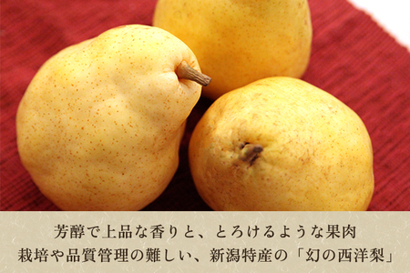【2025年先行予約】西村の黒酢ミネラル栽培「ル・レクチェ」（小玉） 2kg（8～9玉）《11月下旬～順次発送》 幻の西洋梨 梨 洋梨 果実 フルーツ 冬の味覚 加茂市 西村果樹ガーデン