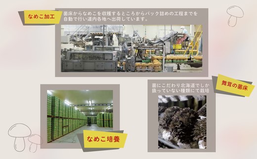 遠藤農産　まいたけ・なめこセット