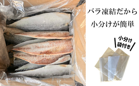 サバ 金華さば 半身20枚 無塩鯖 塩竈市 三波食品