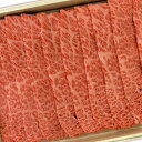 【ふるさと納税】飛騨牛　肩ロースうす切り 牛肉 和牛 肉 熨斗掛け［E0024］