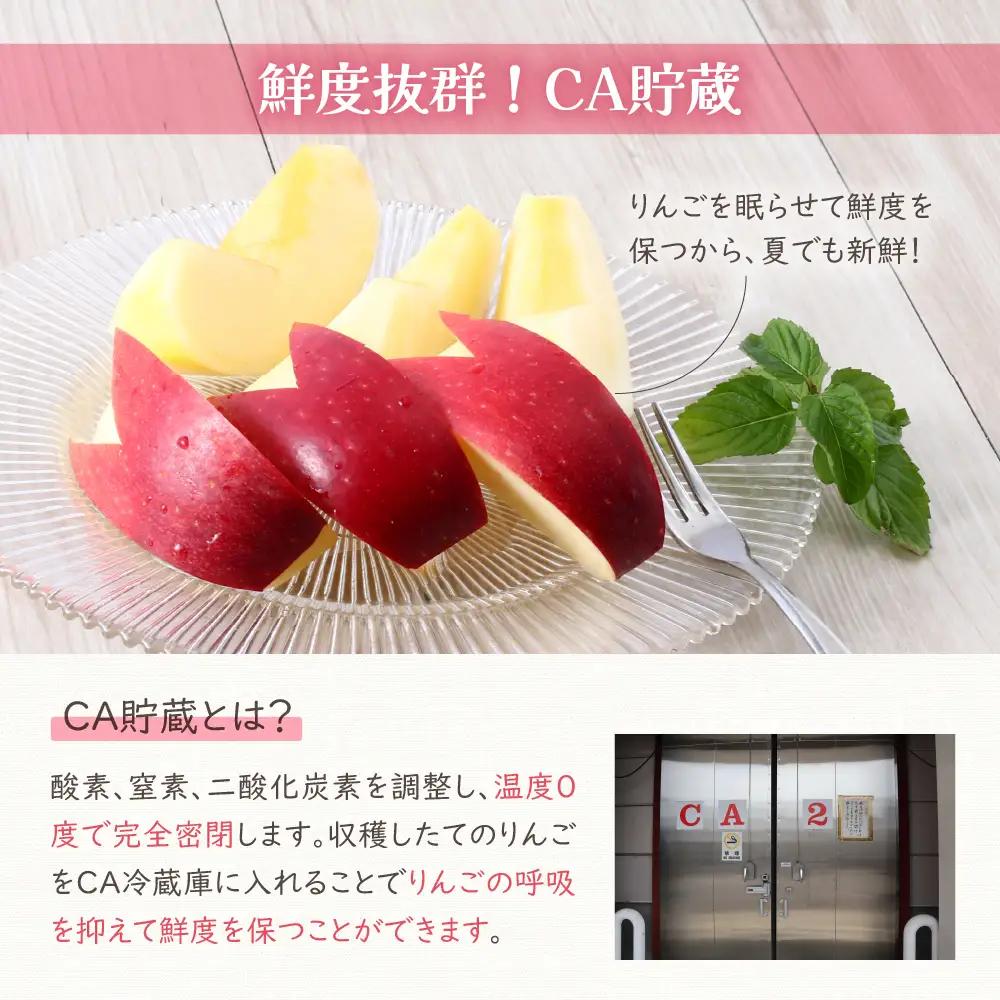 【2026年6月中旬発送】≪特選≫りんご有袋ふじ3kg スマートフレッシュ貯蔵またはCA貯蔵・クール便