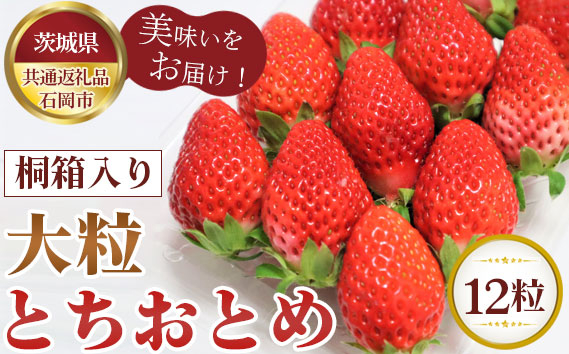 
No.364 【先行予約】桐箱入り　大粒とちおとめ　12粒【茨城県共通返礼品 石岡市】 ／ 旬 新鮮 苺 イチゴ 果物 フルーツ 茨城県 特産品
