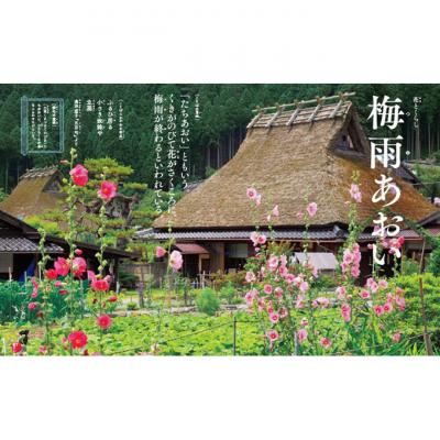 ふるさと納税 文京区 講談社 美しい日本の言葉を学ぶ絵本『日本のことばずかん』セット 図鑑 絵本[55000189] |  | 01