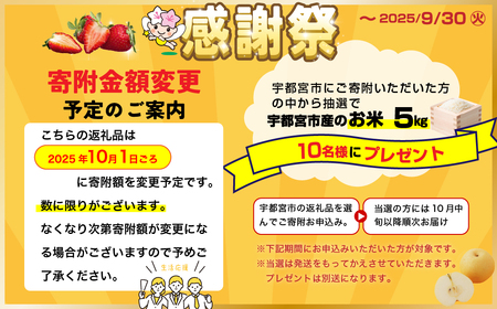 ＼9末まで 寄附額改定／阿部梨園の梨（3kg　レギュラー箱）にっこり　※離島への配送不可　※2025年10月上旬～10月下旬頃に順次発送予定