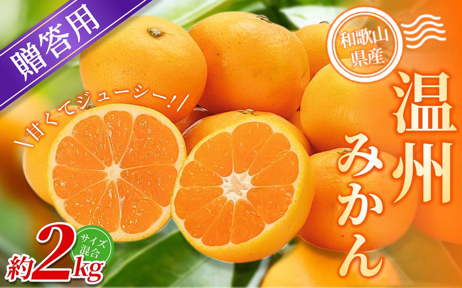 
                  【贈答用】 森本農園の手選別 みかん 約2kg 和歌山県産 2S~2Lサイズ混合 【北海道・沖縄・離島配送不可】【2026年10月中旬～2027年2月中旬ごろに順次発送】【BV-mrmt091】
                