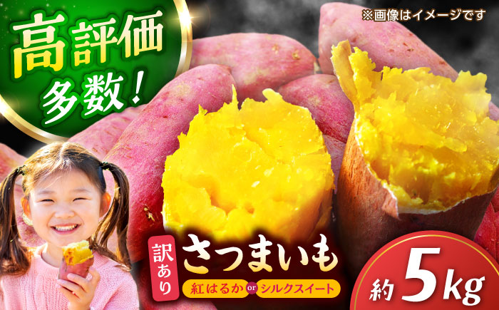 さつまいも 紅はるか or シルクスイート 蜜芋 5kg【合同会社 福福堂】 [ZCN013]