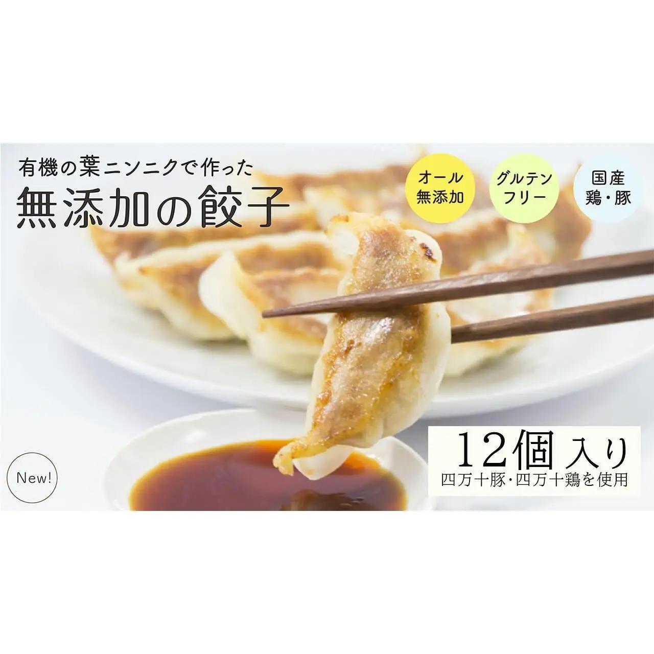 【餃子】葉にんにくと四万十豚で作った餃子(6個入りx2パック）