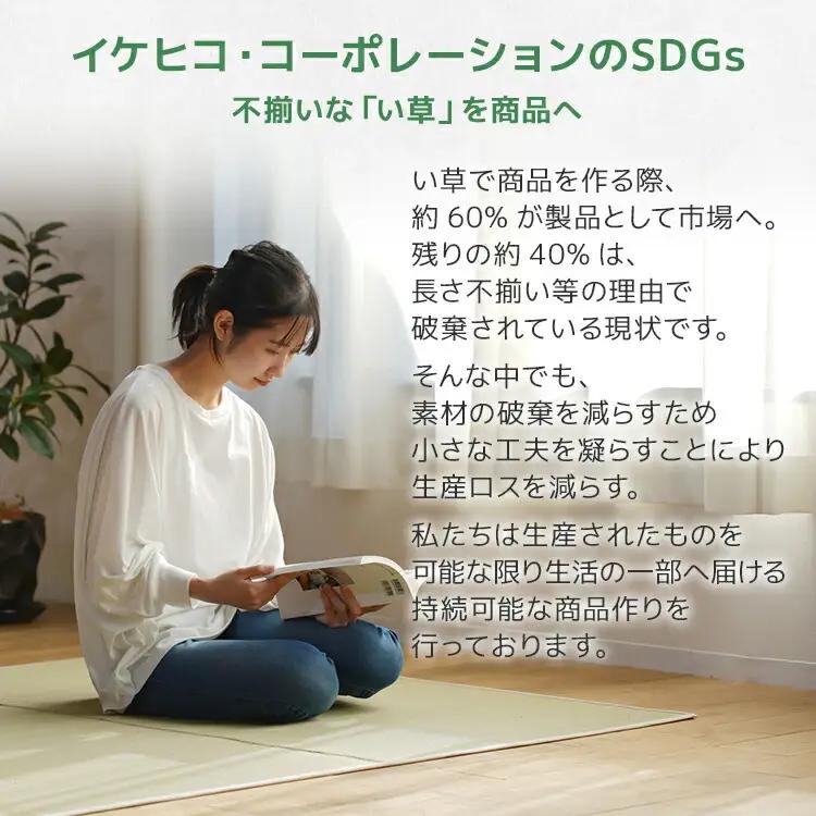 ウィルトンカーペット ネム 200×250ｃｍ ＢＥAA451