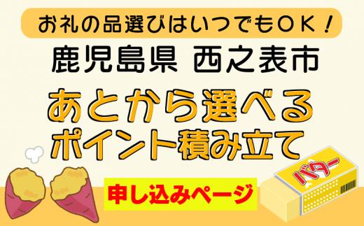 種子島 西之表市 応援 寄附金 ポイント 積み立て あとから選べる 　NFN999【250pt】