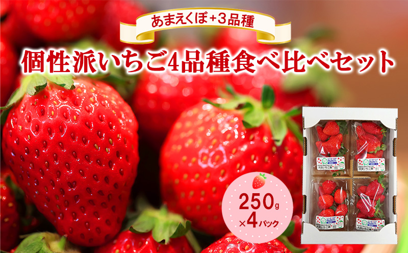 「あまえくぼ」+3品種　個性派いちご4品種食べ比べセット　250g×4パック　『とくしま安２（安全・安心）農産物』優秀認定取得