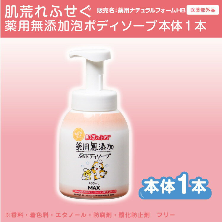 【ふるさと納税】＼薬用／ボディーソープ【香料/着色/防腐剤なし】泡『無添加 生活シリーズ』泡の石けん ボディソープ ボトル1本 薬用 無添加 ボディーソープ ボディソープ ボディーシャンプー ボディシャンプー せっけん 石けん 石鹸 薬用 無添加 日用品 ボディーソープ