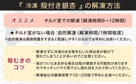 【冷凍】 北九州河内の銀杏 500g 銀杏 ぎんなん ギンナン 実 おつまみ 旬 季節の食べ物 秋の味覚 冷凍 福岡県 北九州