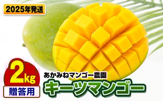 【2025年発送】あかみねマンゴー農園　贈答用キーツマンゴー2kg