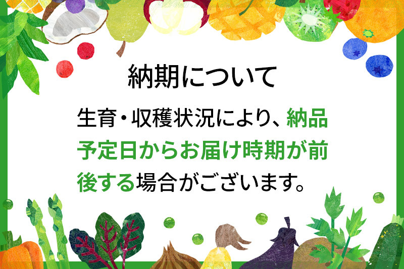 秋田県横手市産 糖度13度以上 りんご「ふじ」家庭用 約10kg