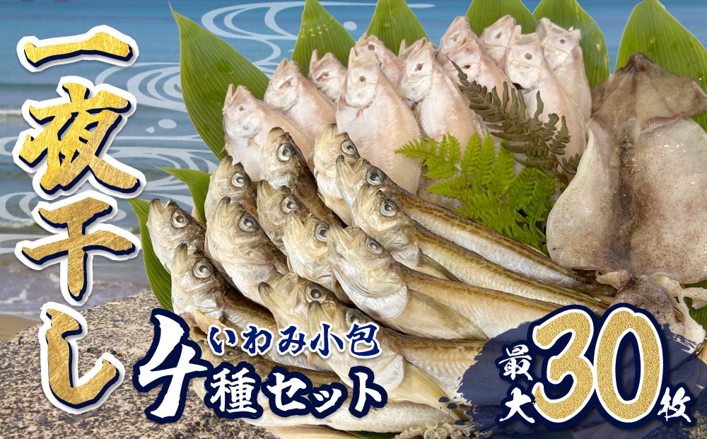 
            いわみ小包（海）＜海産物一夜干し＞｜鳥取 岩美 干物 ひもの 詰合せ【24001】
          