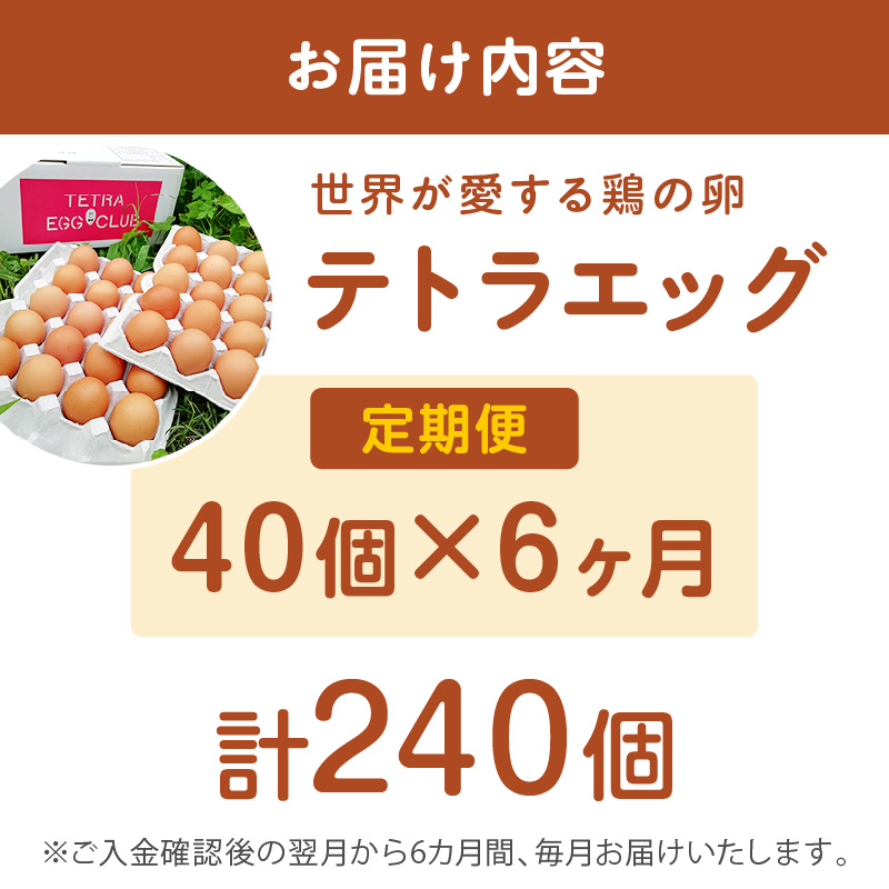 テトラエッグ(40個/月)【6ヵ月定期便】_イメージ5