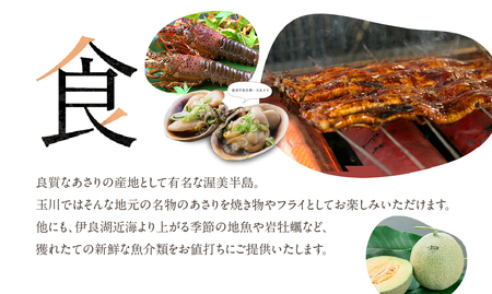 愛知渥美半島 伊良湖温泉 魚と貝のうまい宿 玉川 利用券 3千円分 旅館 旅行券 宿泊券 観光 愛知県 田原市