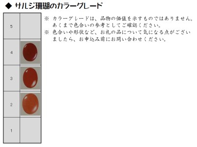 海の秘宝珊瑚：赤ちゃんのお守りD お守り