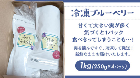 茨城県産 冷凍 ブルーベリー 合計 1kg (250g×4袋)【2025年7月中旬から発送開始】 多品種 果実 果物 くだもの フルーツ おやつ ブルーベリー ベリー ジャム 小分け [DZ018sa