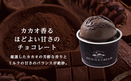 リッチアイスクリーム カカオ香るほどよい甘さのチョコレート 10個セット（100ml）