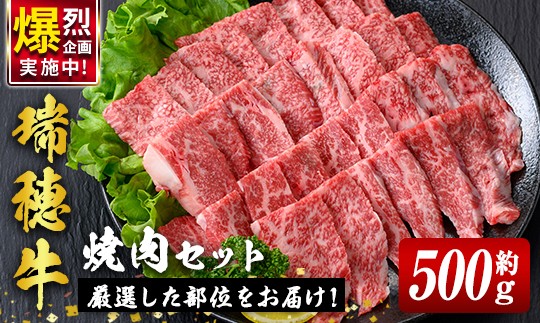 
                  瑞穂牛焼肉セット 約500g 牛肉 やきにく バラ 肩ロース 肩 肩バラ トモサンカク イチボ ブランド牛 冷凍配送 茨城県 お中元 焼肉の日 敬老の日 瑞穂牛 焼肉 10種 盛り合わせ 食べ比べ 国産 肉 BBQ セット 【（株）フロンティアロード】【ho0858-1】
                