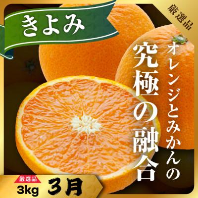 ふるさと納税 八幡浜市 【発送月固定定期便】柑橘【みかん・まどんな・きよみ・ニューサマーオレンジ】【H31-47】全4回 |  | 01