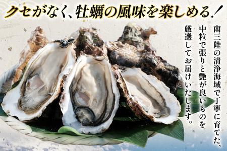 牡蠣 むき身 極粒旨かき 生食用 500g 1p 【期間限定発送】