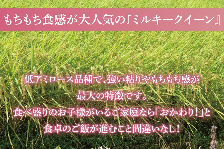
                  【茨城県共通返礼品】令和7年産茨城県産 ミルキークイーン10kg（5kg×2袋）【お米 米 ごはん 茨城県】（03-64-1）
                