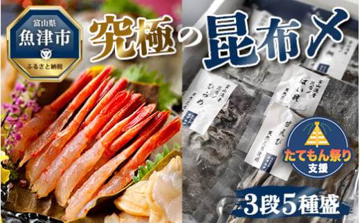 
究極の昆布〆、3段5種盛（急速冷凍品）魚卸問屋はりたや 富山県魚津市 昆布締め こぶじめ 刺身 天然昆布 [№5617-0745]
