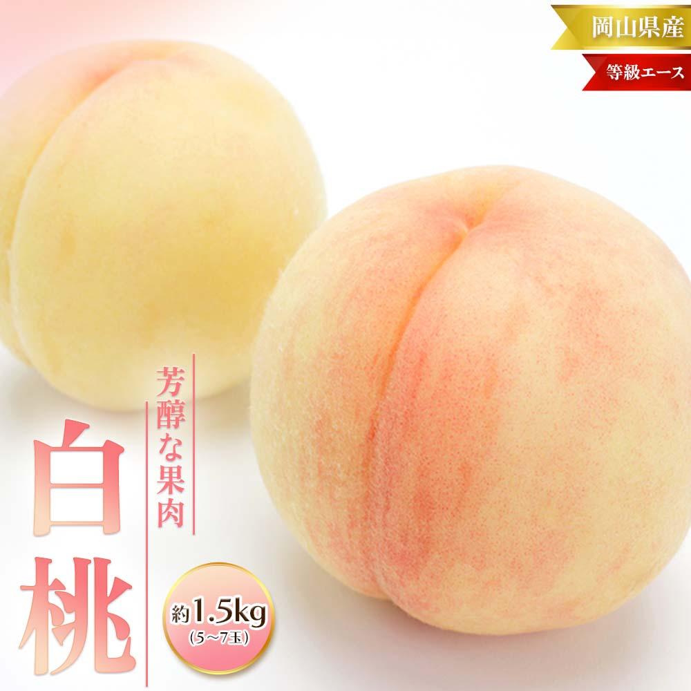 【ふるさと納税】桃 2026年 白桃 等級 エース 約1.5kg 5～7玉入り もも モモ 岡山 国産 フルーツ 果物 桃茂実苑 | もも フルーツ 果物 くだもの 食品 人気 おすすめ 送料無料