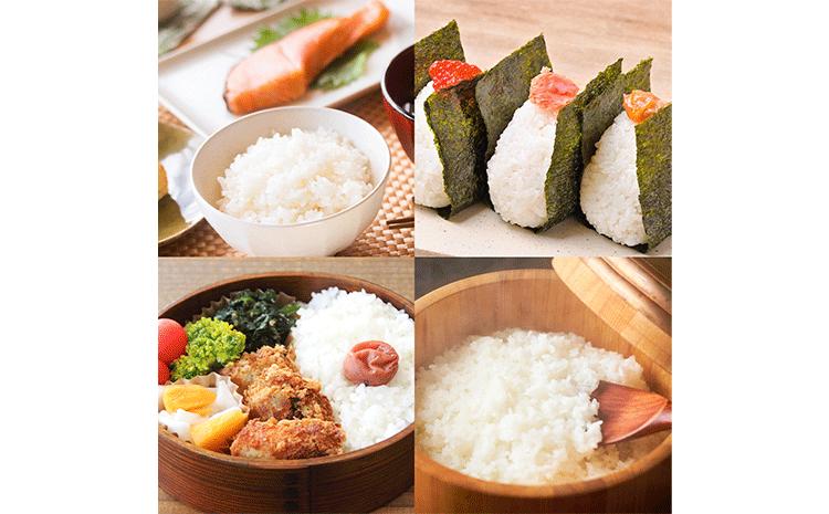 令和7年産 特別栽培米 白米 コシヒカリ 10kg(5kg×2) 米の半左エ門《30日以内に出荷予定(土日祝除く)》千葉県 我孫子市 こしひかり 精米 米 白米 ごはん お米 ライス ブランド米 ご飯