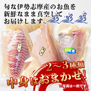 （冷蔵）伊勢志摩産　朝どれ　２～３種（約800ｇ）　お刺身用　おまかせセット／城水産　鯛　鰤　たい　ブリ　新鮮　真空　海の幸　三重県　南伊勢町