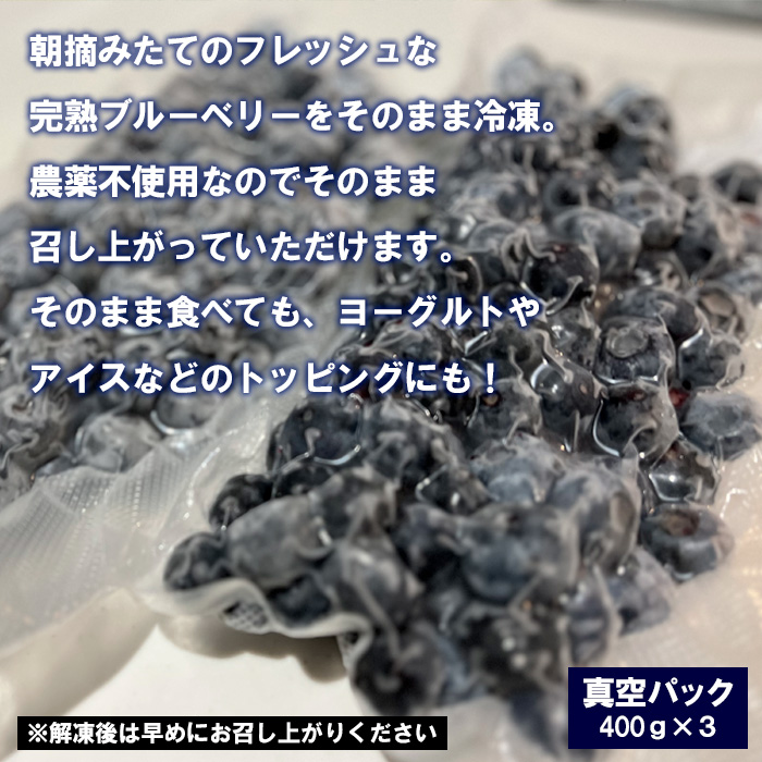 山形産 農薬不使用 冷凍ブルーベリー【ガイアの雫】1.2kg(400