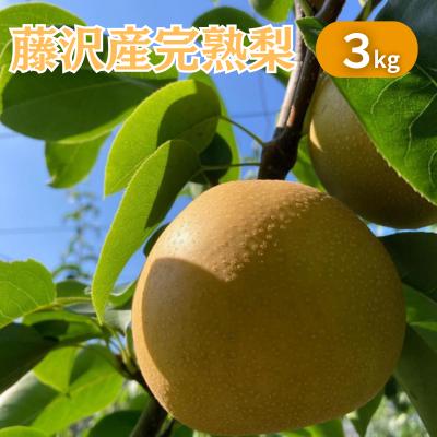 【ふるさと納税】 【8月下旬発送】梨 なし ナシ 約3kg 6玉から8玉 有機肥料 くだもの 果物 フルーツ nasi 旬のフルーツ 果物 フルーツ 新鮮 旬 秋 デザート ジュース アイス ジェラート 幸水 豊水 あきづき プレゼント ギフト 贈り物 冷蔵 鈴木園 神奈川 湘南 藤沢