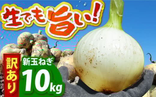 【今が旬!】 訳あり 新玉ねぎ 10kg 　【えぐちファーム】 不揃い たまねぎ [HDE002]