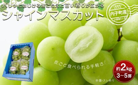 【先行予約】内子町産 シャインマスカット ムジ 3～5房 約2kg ★2025年8月下旬から発送★【シャインマスカット　シャインマスカット　シャインマスカット　シャインマスカット】