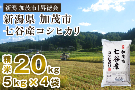 【令和7年産】七谷産コシヒカリ 精米20kg（5kg×4） 白米 高柳地域産数量限定 昇徳会
