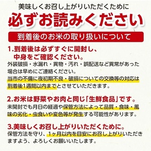 【令和7年産】 山形県庄内産 工藤さんの特別栽培米 つや姫無洗米 10kg （5kg×2袋）【令和8年5月18日～5月24日発送】 山形県鶴岡市 株式会社サンエイファーム
