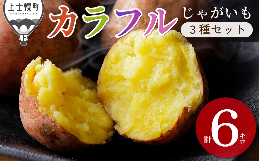 
                  2026年産 先行予約 北海道産 カラフル じゃがいも 3種セット 計6kg（2kg×3種） 北海道 上士幌町 加藤農場 野菜 秋野菜 ジャガイモ 馬鈴薯 産地直送 ◆2026年12月配送予定［009-V80］
                