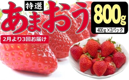 【定期便3ヶ月】 いちご あまおう 800g 特選 いちご イチゴ 苺